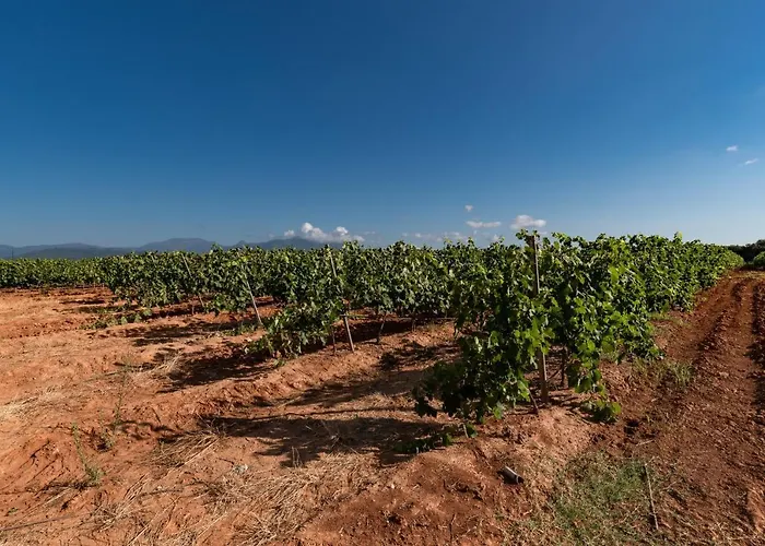 Appartement Les Terres Rouges Aléria